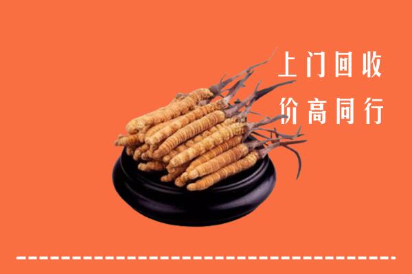 高价求购：白碱滩区回收散虫草