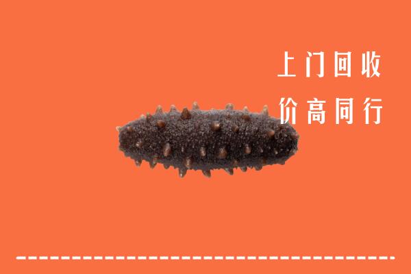 高价求购：白碱滩区回收海参